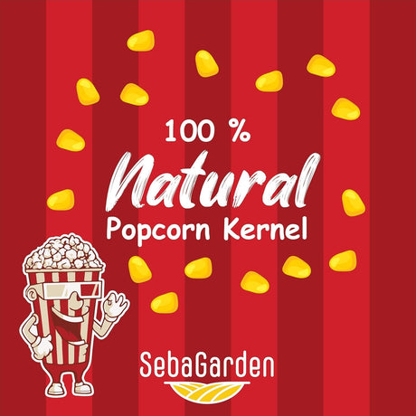 Seba Garden Premium Choice Popcorn Kernels Fluffy & Crunchy | 1kg