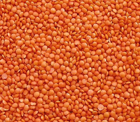 Seba Garden Premium Choice Red Lentils Whole Canadian Variety | 1kg