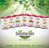 Seba Garden Premium Hulled Sunflower Seeds Grade A Nutrient-Dense Superfood | 1 kg
