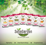 Seba Garden Premium Raw Pecan Nut Halves Grade A Nutrient-Dense Superfood