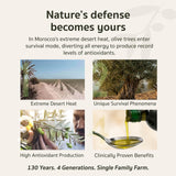 OLIVIE Plus 30X | Authentic High-Polyphenol Moroccan Desert Olive Oil (250ml / 8.45 Fl Oz)