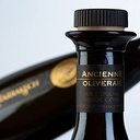 LES TERROIRS DE MARRAKECH Moroccan Organic Extra Virgin Olive Oil, Polyphenol Rich, Cold Pressed 500ml