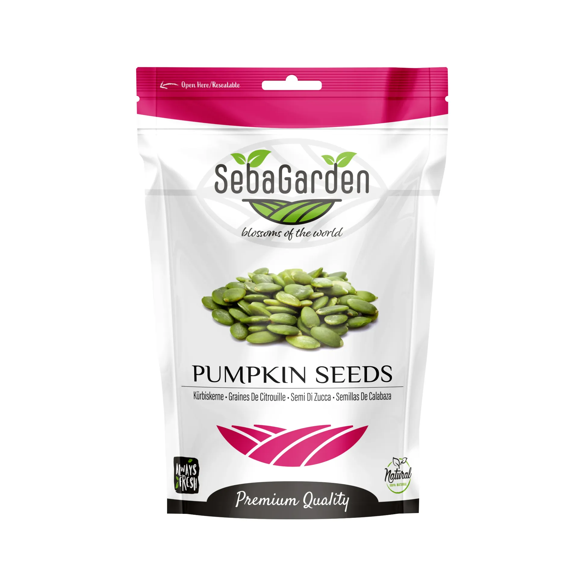 Seba Garden Pumpkin Seeds 1000g Conventional Pumpkin seeds Grade A Raw Source of Protein, High Fiber Content, Source of Iron, Non GMO 1kg